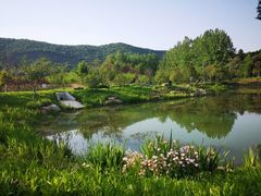 -南京市无想山景区