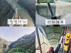 -龙湾潭国家森林公园