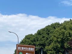 -都江堰中华大熊猫苑