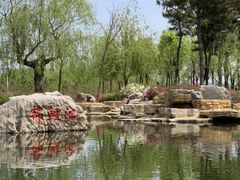 -羊亭河湿地公园