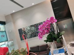 -TSK齿科德申会口腔门诊·联洋诊所