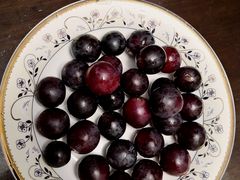 -马陆小张葡萄园农家乐