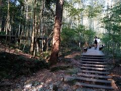 -西湖风景区十里琅珰-五云山