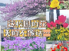 -东华大学(松江校区)