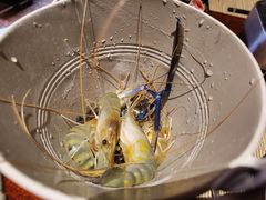 -常德武陵天济喜来登酒店-盛宴餐厅