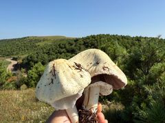 -奇迹健身(SM广场店)