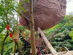 -天门沟九州驿站树上汤泉