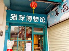 -猫咪博物馆(顶澳仔猫街店)