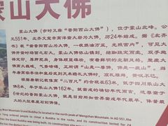 -蒙山大佛景区