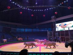 -西安秦岭野生动物园