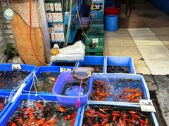 -清平路水族市场