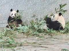 -西安秦岭野生动物园