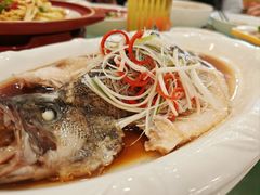 -金彤川菜(西稍门店)