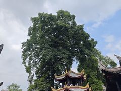 -峨眉山报国寺