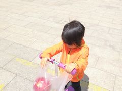 -望湖公园