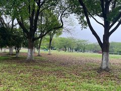 -石湖景区