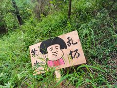 -长虫山生态公园风景林