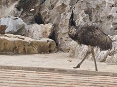 -八景休閒山莊  廣東十大名山莊