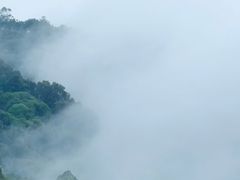 -火炉山森林公园