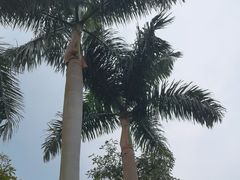 -广州市白云山风景名胜区
