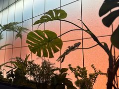 -大碗居·烤鸭·鱼头泡饼(天坛东门店)