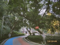 -翠屏公园