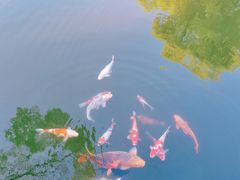 -杭州西湖柳莺里酒店