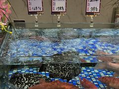 -丽景酒楼·佛山老字号(广佛智城店)