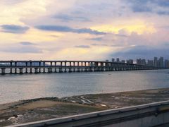 -海堤纪念公园