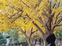 -汇龙潭