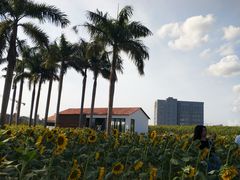 -光明小镇欢乐田园