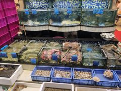 -揭阳钟记小食(福田新村店)
