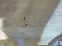 -龚海宝· 烧烤· 羊肉原切挂糊更好吃(庄市店)