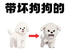 -谐和益家动物医院·免疫绝育·血液透析·宠保定点医院(高新伊藤分院)