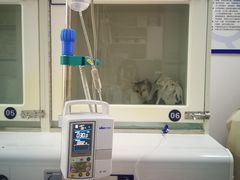 -宠颐生动物医院·心脏科·保险定点(锦阳分院)