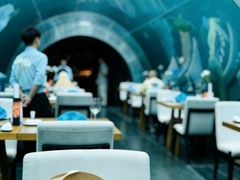 -海棠湾洲际-涛·海底餐厅·美人鱼·自助餐·海底隧道