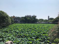 -法雨寺餐厅