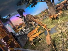 -国家自然博物馆