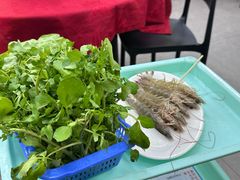 -花苑美食横琴生蚝火锅(拱北粤华路店)