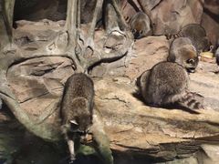 -波塞冬旅游度假区