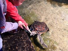 -石林冰雪海洋世界