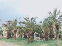 -Cafe Aewol Monsant