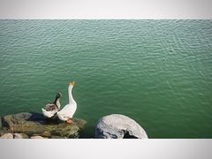 -天津东丽湖风景区