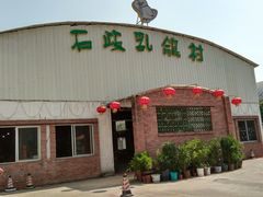 -石岐乳鸽村(桥观坊南四巷店)