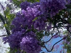 -南屏步行街