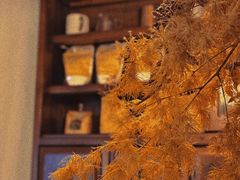 -Ginko银子(青龙街店)