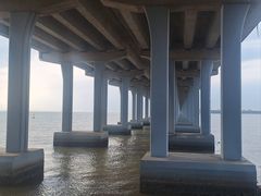 -宝安西湾红树林湿地公园