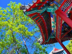 -莲池书院博物馆