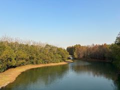 -上海海湾国家森林公园