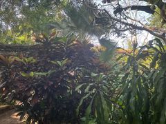 -海南热带野生动植物园